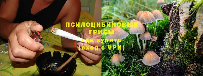 где купить наркотик  Алдан  Галлюциногенные грибы Magic Shrooms 